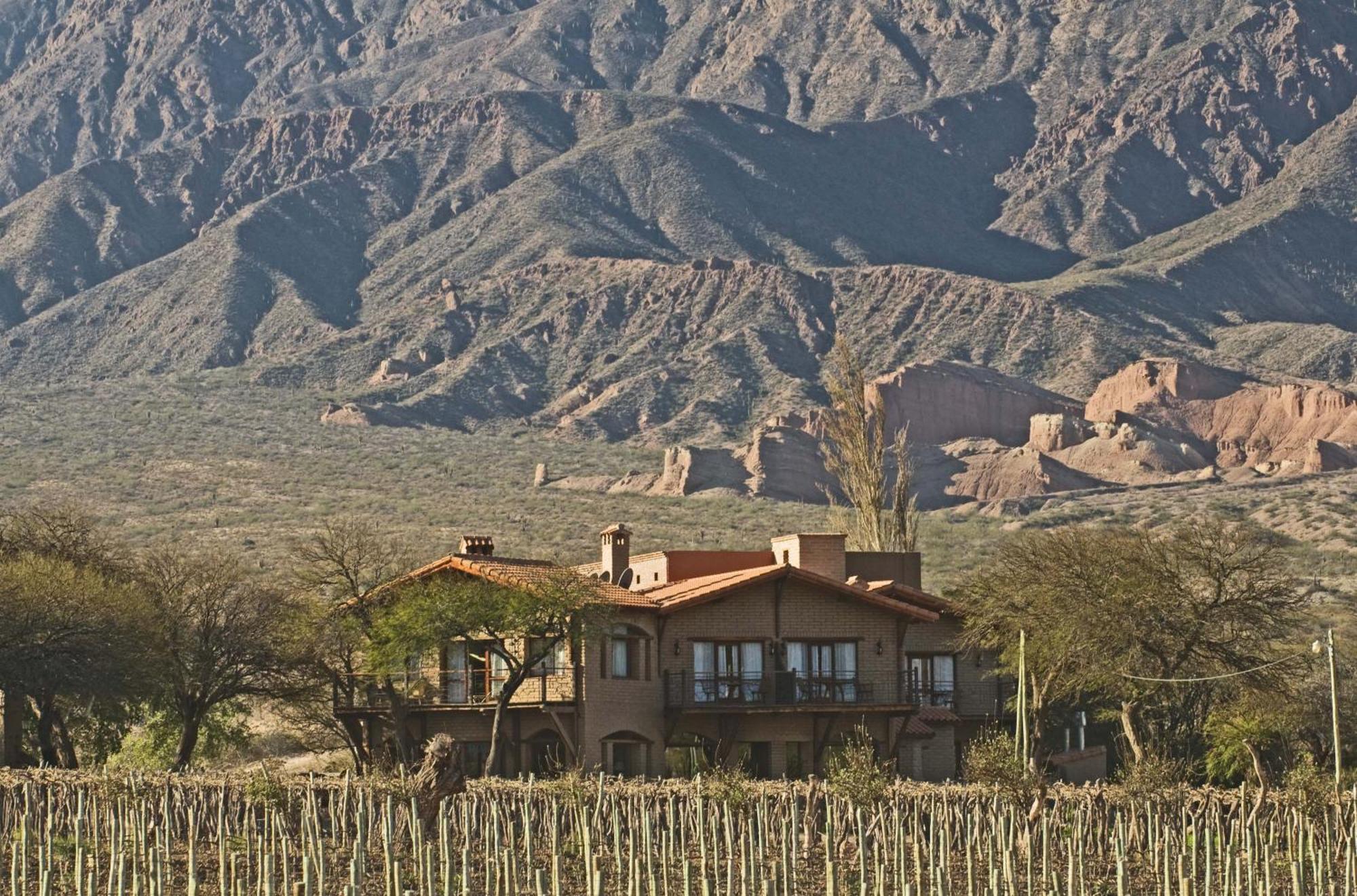La Casa De La Bodega - Wine Boutique Hotel Cafayate Exterior foto